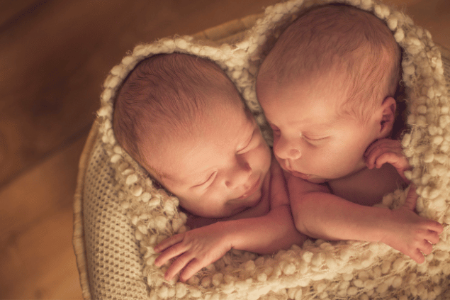 Bebês gêmeos enrolados em uma cobertinha de lã. 