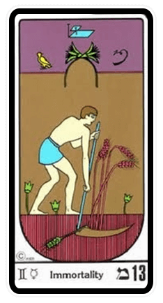 Carta A Imortalidade