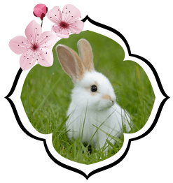 Signo japonês Coelho (Usagi)