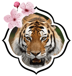 Signo japonês Tigre (Tora)