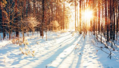 Solstício de Inverno: Tudo sobre esse fenômeno