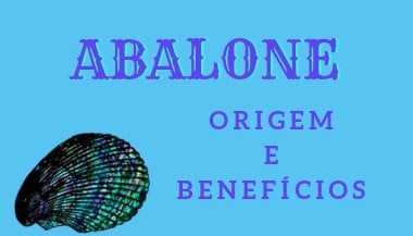 Abalone: Origem e benefícios dessa pedra poderosa