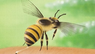 Sonhar com abelha picando