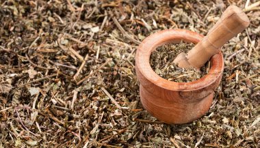 Chá de quebra-pedra: benefícios e como fazer