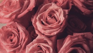 Significado de sonhar com rosas