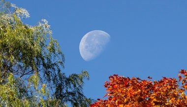 Lua Minguante em Câncer — 28 de setembro de 2021