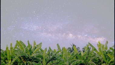 A influência dos astros no reino vegetal