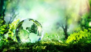 Semana Nacional do Meio Ambiente: o que é?