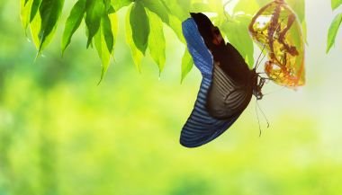 Horóscopo do dia: previsões de hoje (18/03) para os signos - Não resista às mudanças