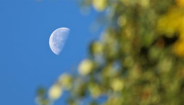Lua Minguante em Touro — 19 de agosto de 2022
