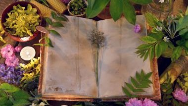 Ano Novo 2026: simpatias especiais para atrair amor, sorte e prosperidade