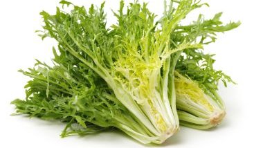 Imagem da chicória.