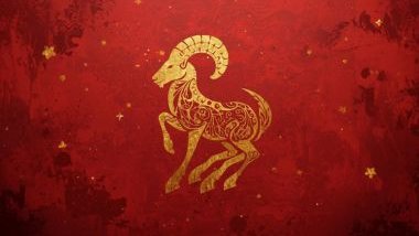 Imagem de fundo vermelho e alguns elementos em dourado e o glifo do signo de capricórnio em destaque.