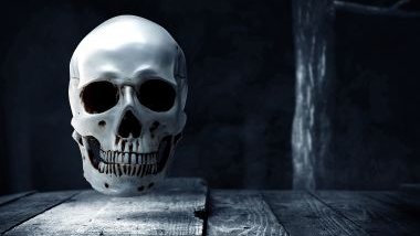 Imagem da ossada de um crânio  sobre uma mesa de madeira, simbolizando o Exu da Morte.