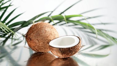 Significado de sonhar com coco