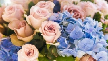 As cores de 2016 escolhidas pela Pantone na Terapia Floral