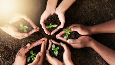 Horóscopo do dia: previsões de hoje (08/11) para os signos - Abandone os velhos padrões