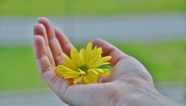 Horóscopo do dia de hoje (29/05/2024): previsões dos signos para quarta-feira