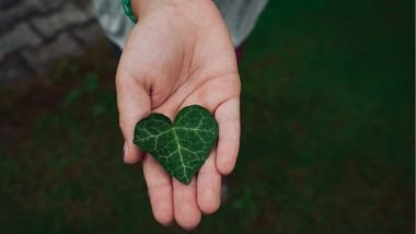 Os benefícios da natureza para cada signo