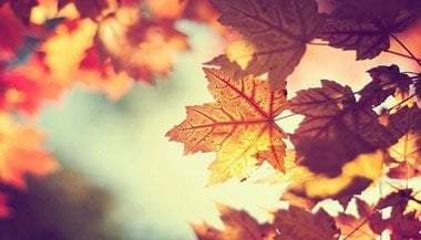 O outono, o frio e as doenças respiratórias