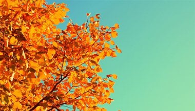 Equinócio de outono e sua magia