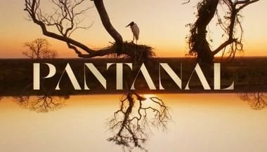 O personagem de Pantanal de cada signo