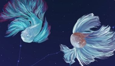 A simbologia de Peixes