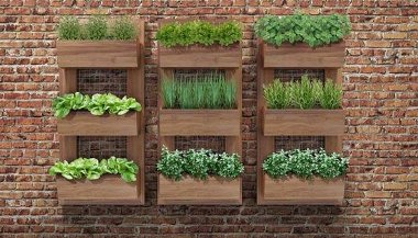 5 plantas que vão purificar o ar da sua casa