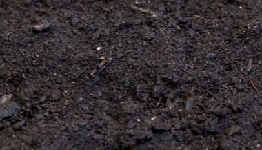 Significado de sonhar com terra preta