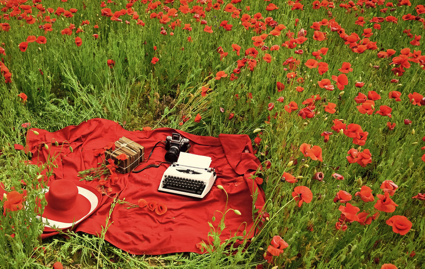 Pano vermelho sobre mato, livros, máquina de escrever e câmera