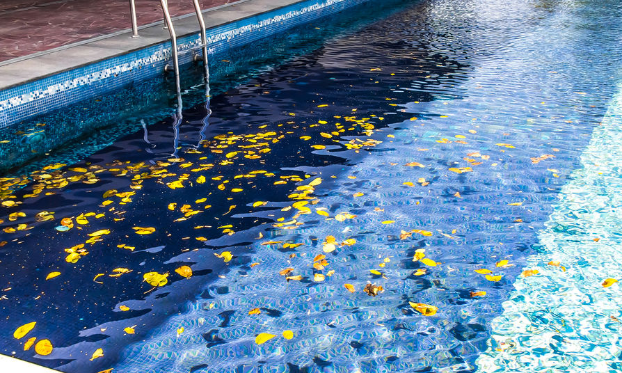 Piscina com folhas