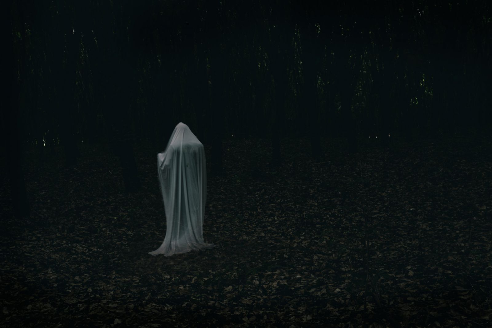 Fantasma em uma floresta