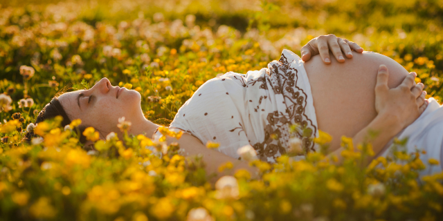 Mulher grávida deitada em campo de flores