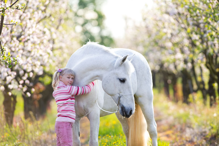 Garota Abraçada a um Cavalo Branco