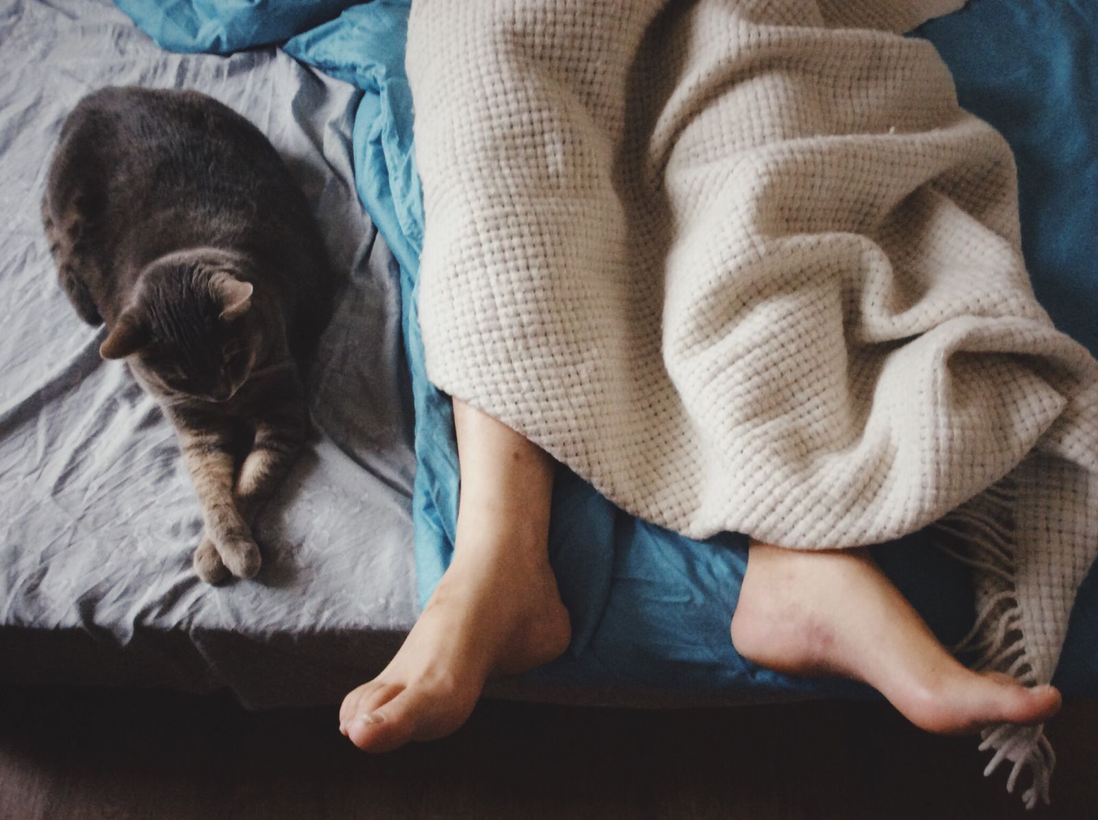 Pessoa deitada na cama com os pés de fora do cobertor com um gato ao seu lado