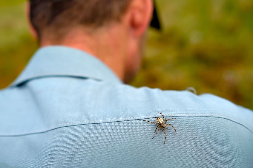 Aranha nas costas de um homem