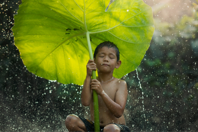 Menino sentado se protegendo da chuva abaixo de uma folha gigante