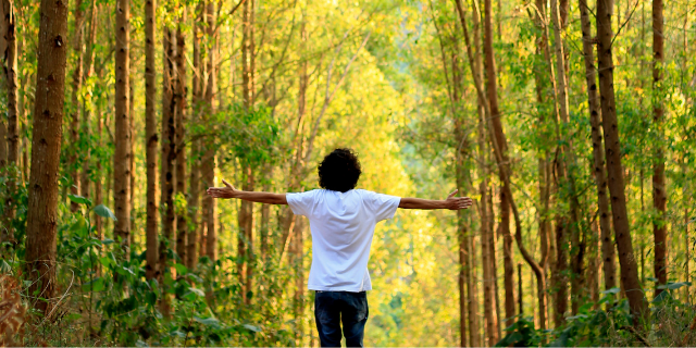 Pessoa na natureza com os braços abertos