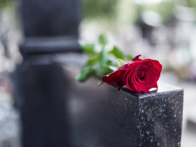 Rosa vermelha em cima de túmulo