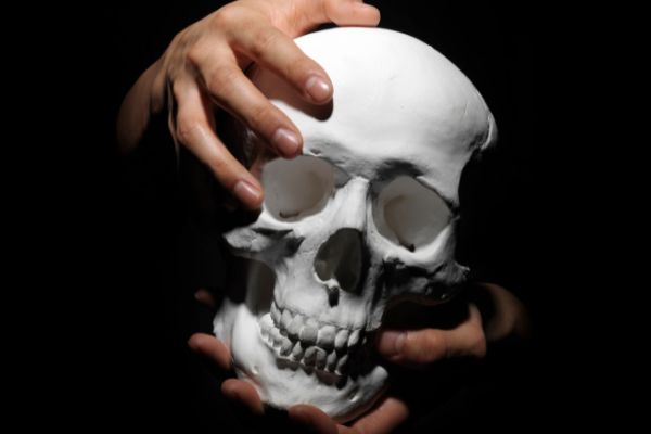 Caveira nas mãos de uma pessoa