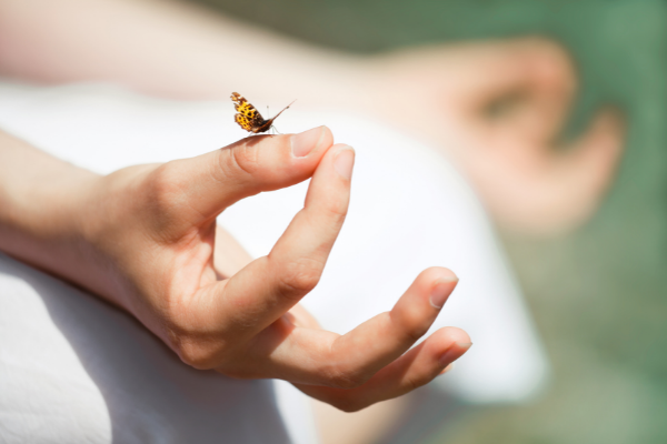 Pessoa praticando meditação com a técnica mudra. Uma borboleta está pousada na mão da pessoa