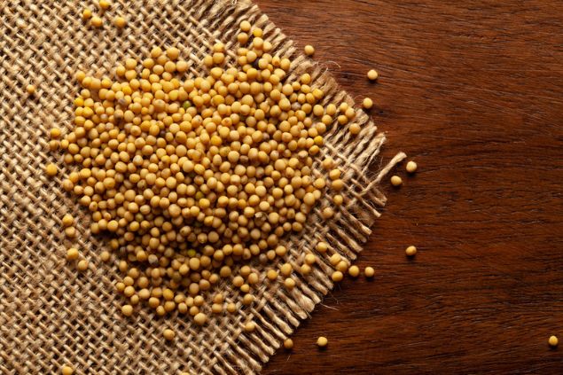 ELAKSHI CREATIVE BUSINESS / Shutterstock Sementes de mostarda.