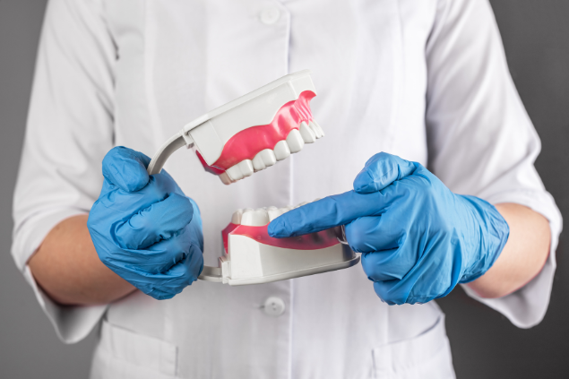 Pessoa segurando uma prótese dentária gigante