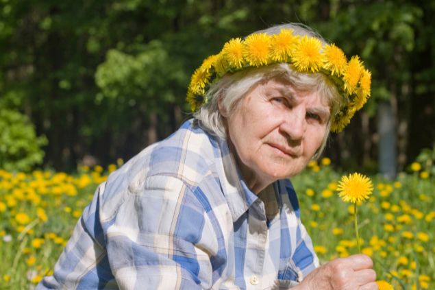 Imagem de uma vovó usando uma tiara de flores amarelas. Ela está sentada, apanhando flores amarelas em um campo, simbolizando a figura da vovó Catarina da Umbanda.