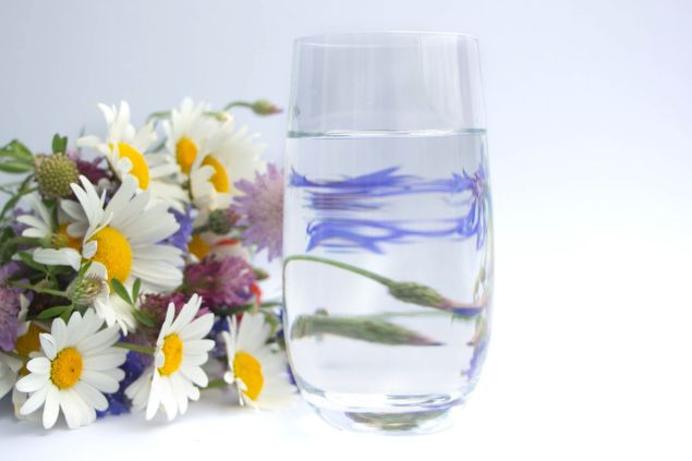 Elena Medoks / Getty Images / Canva Imagem de um copo com água e ao lado flores de margaridas bem delicadas, simbolizando uma oferenda para a Pombagira Menina.