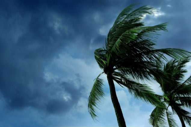 Tempestade tropical com vento e em destaque a imagem de um coqueiro