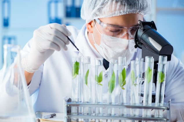 Elnur / Canva Imagem de um profissional cientista da área de biologia fazendo suas experiências.