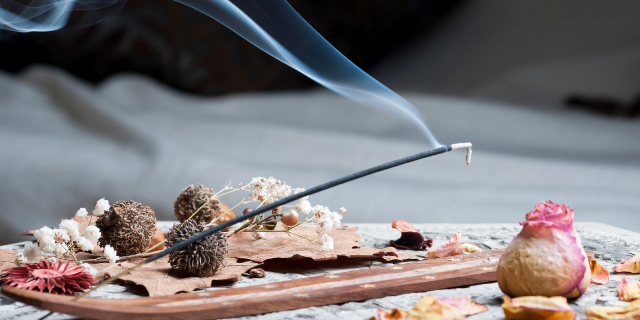 miloslijubicic / Canva Incenso aceso. Ao fundo, plantas e algumas pétalas de rosa.