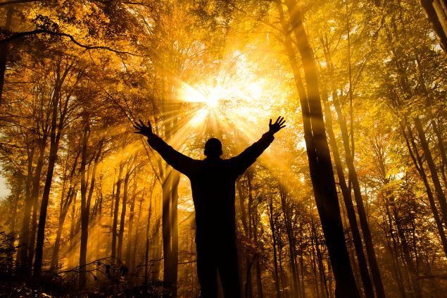 Stock_colors / Getty Images Signature / Canva Um homem está com os braços abertos em uma floresta. Ele levanta a cabeça e sente os raios de sol na pele.