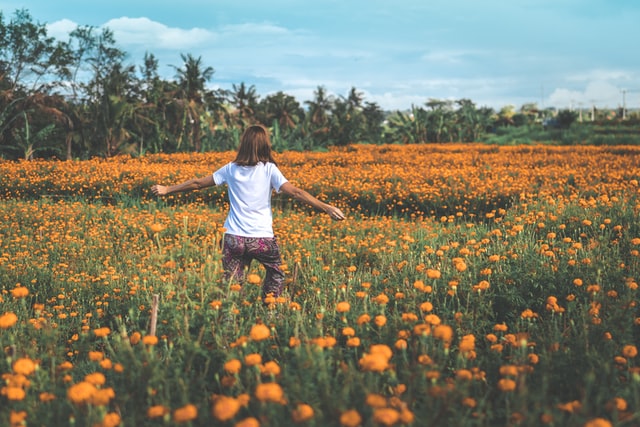 Mulher branca de costas num campo de flores laranjas.